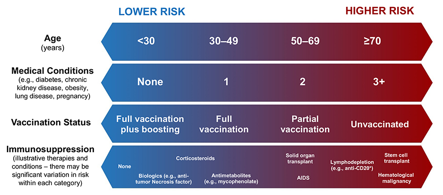 COVID-19 Risk Continuum chart