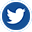 Twitter AltIcon