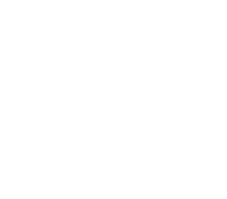 alert icon