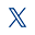 X Icon